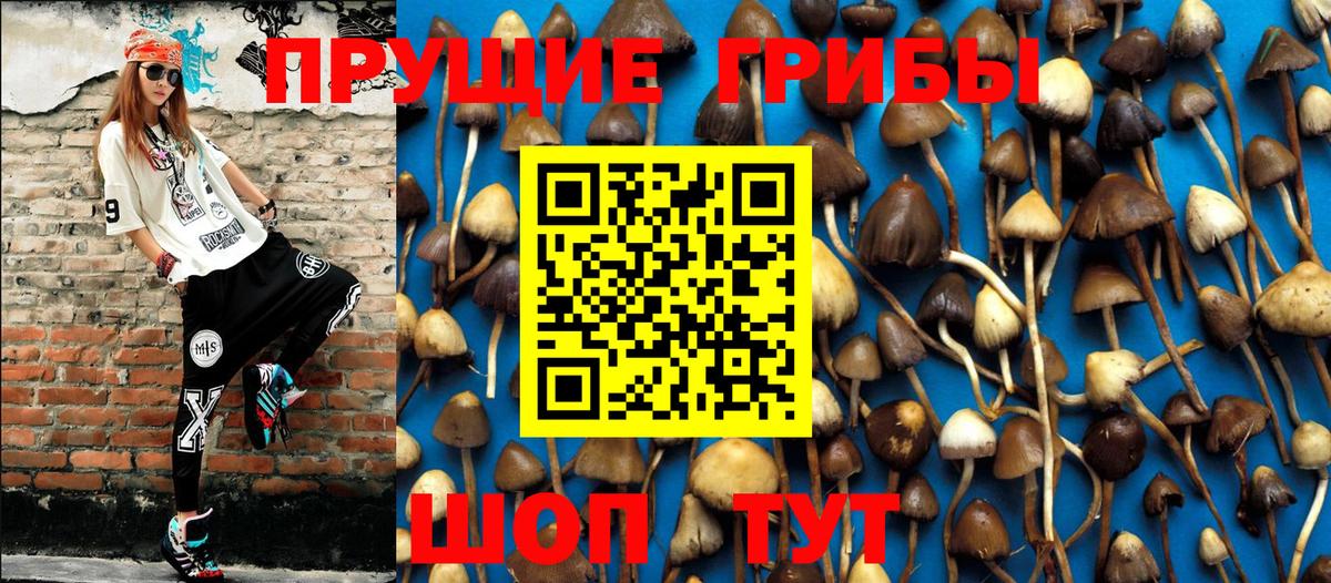 Ноябрьск  купить   Вход с VPN  Псилоцибиновые грибы Magic Shrooms 